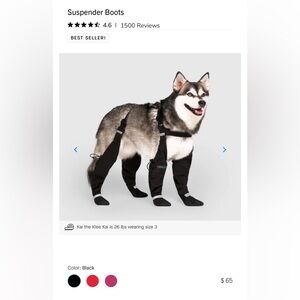 Canada pooch Suspender winter Boots size 1